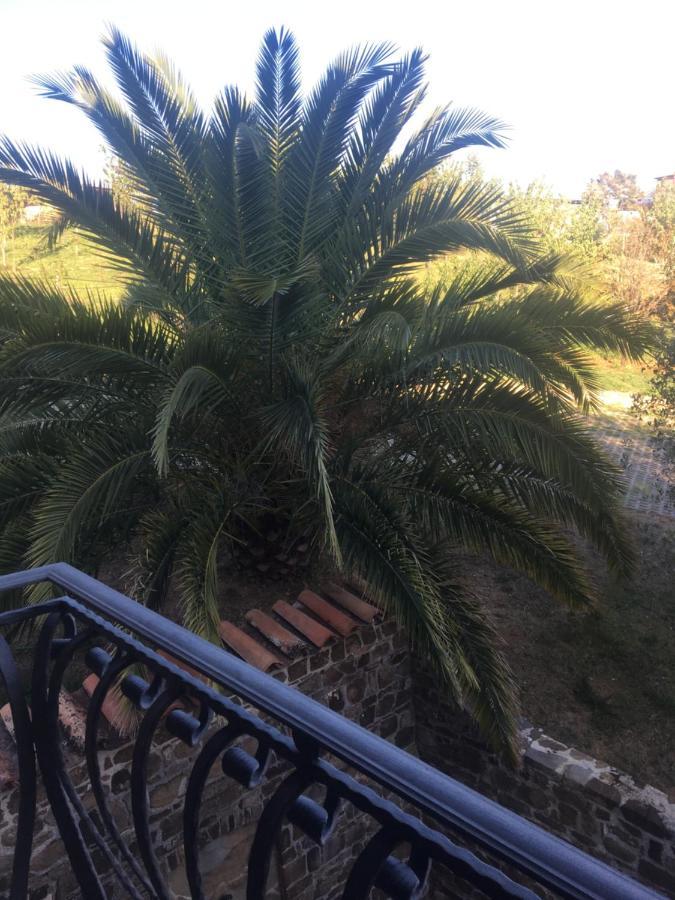 Hotel La Ginestra Castel San Lorenzo Zewnętrze zdjęcie