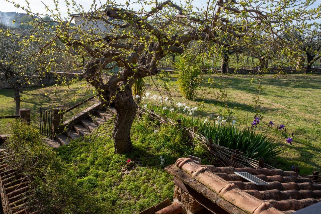 Hotel La Ginestra Castel San Lorenzo Zewnętrze zdjęcie